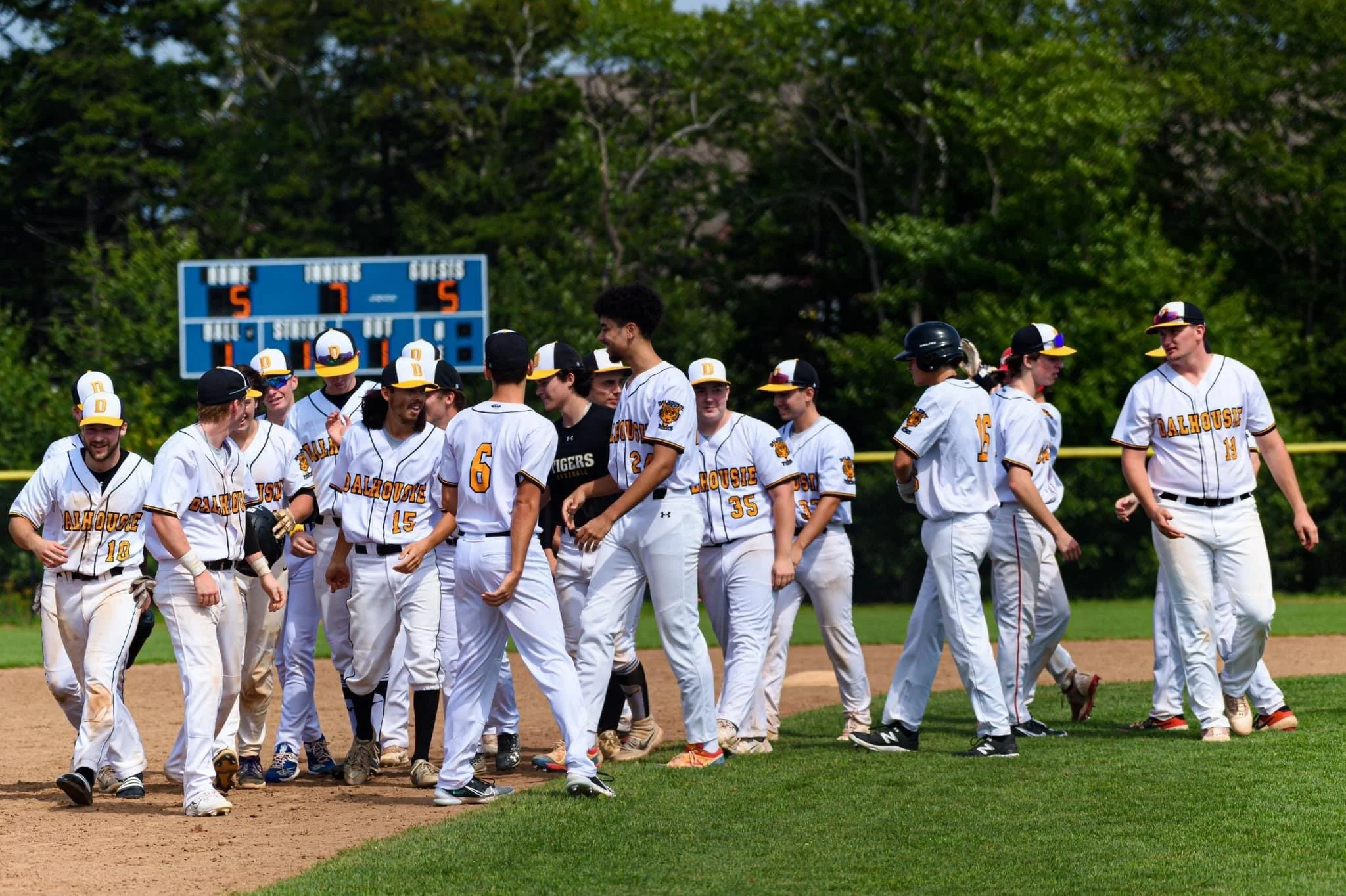 Dalhousie Baseball Team (DBT)