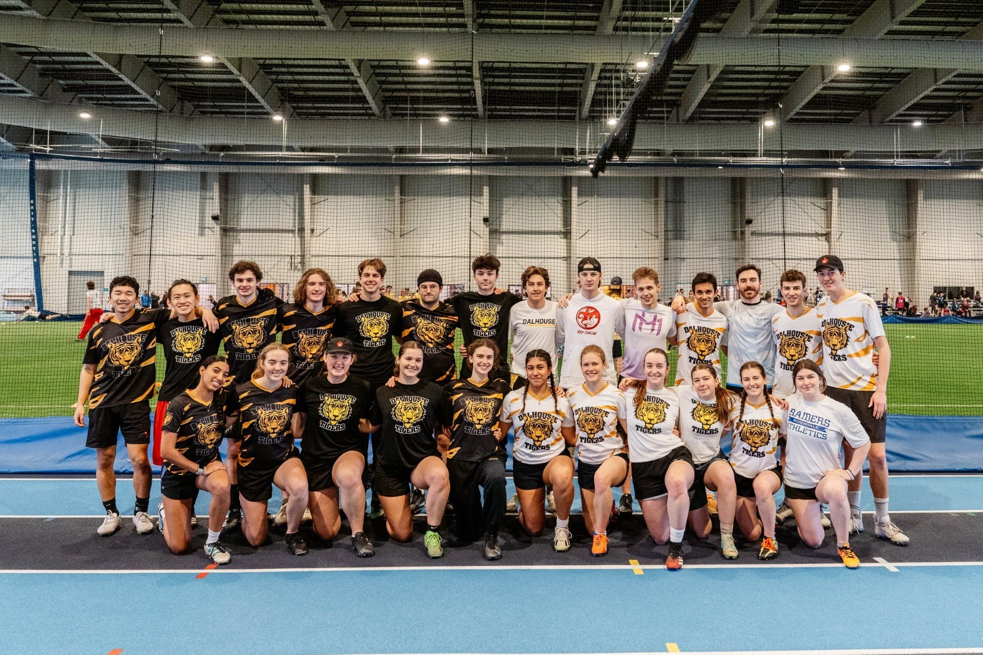 Dalhousie Kings Ultimate Team (DKUT)