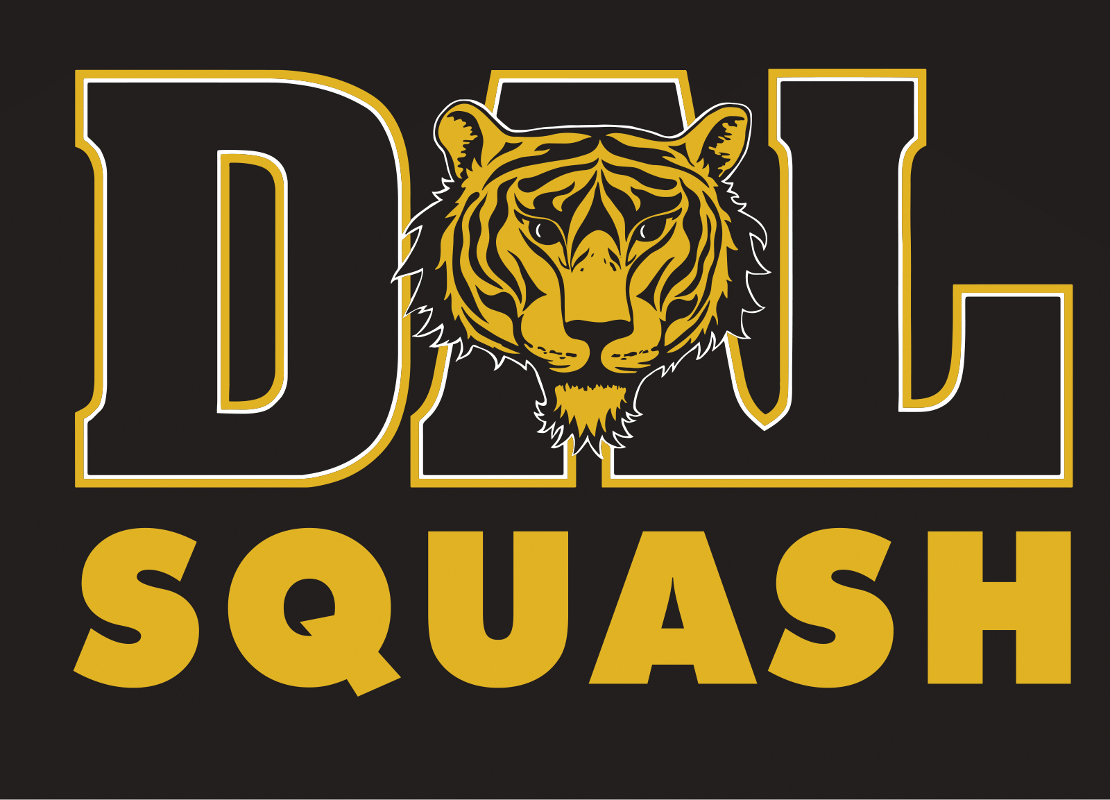 Dalhousie Squash Club (DSC)